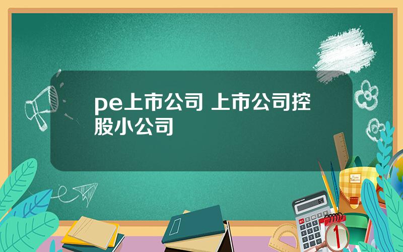 pe上市公司 上市公司控股小公司